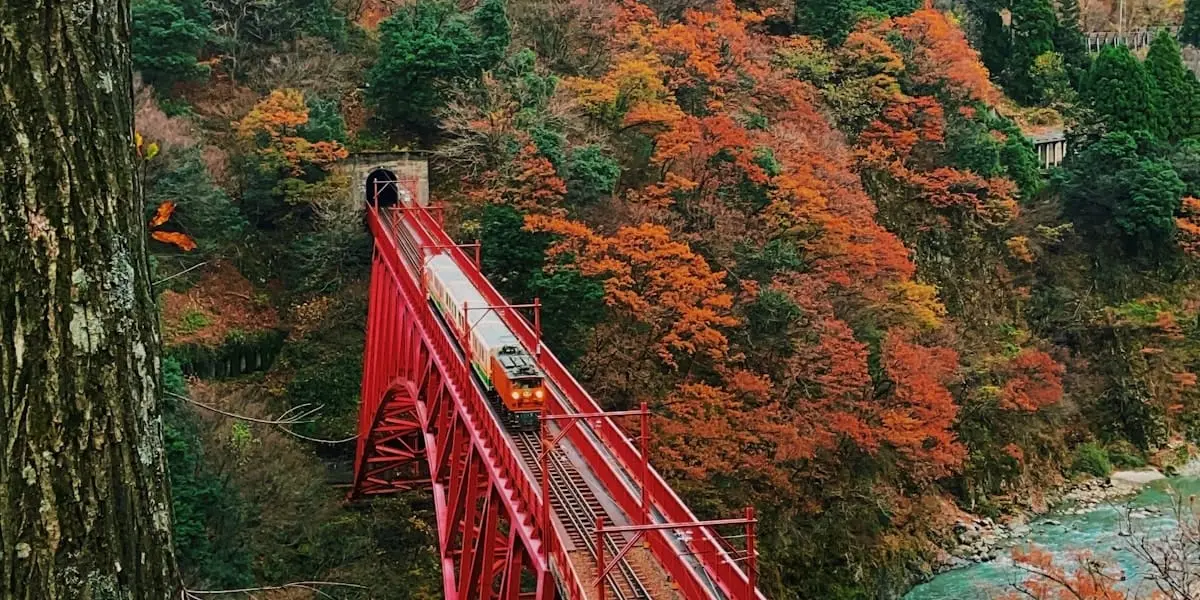 Carter Memorial Kurobe Meisui Marathon