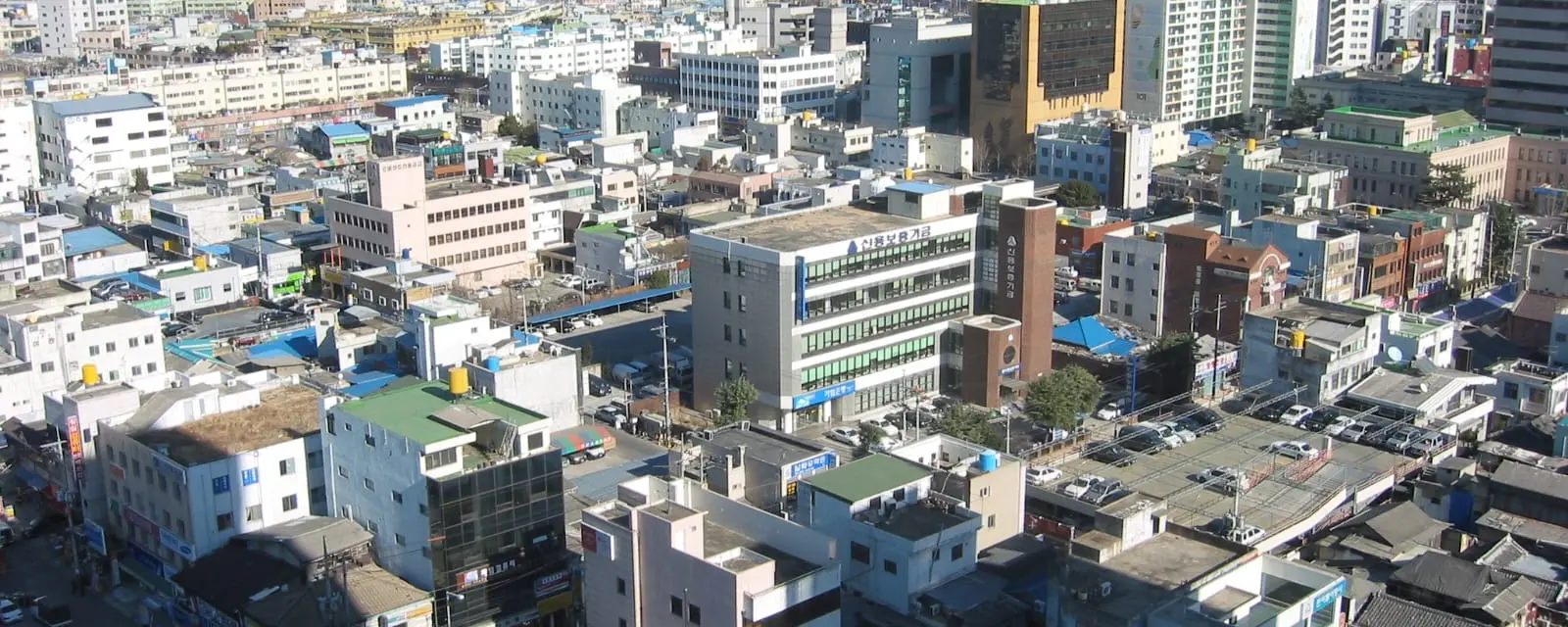 Daegu Marathon