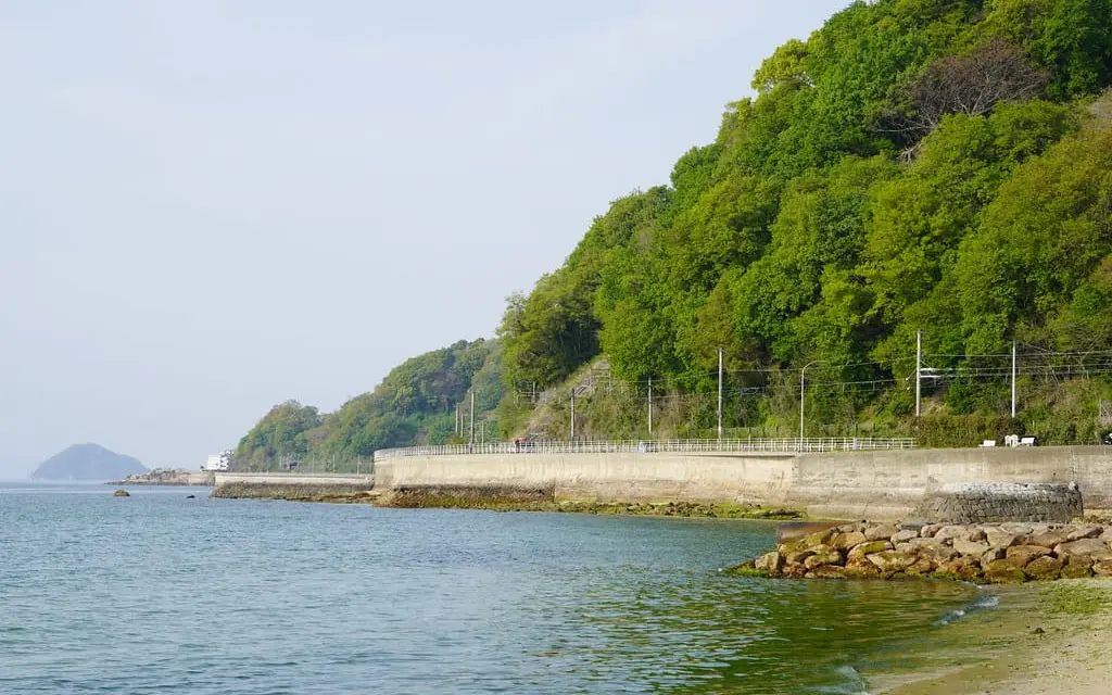 Ehime Marathon