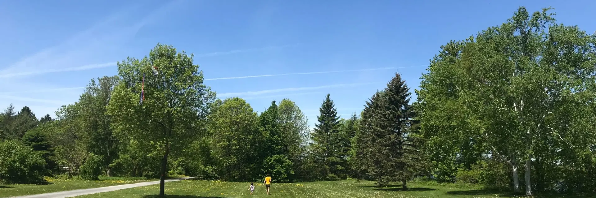 Fredericton Marathon