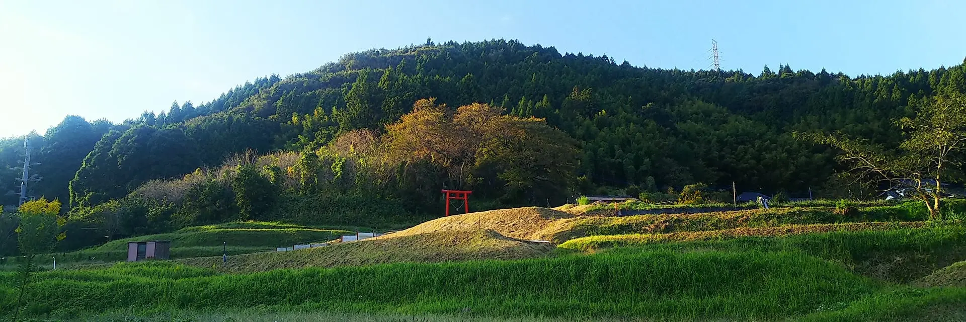 Hitachi Seaside Marathon