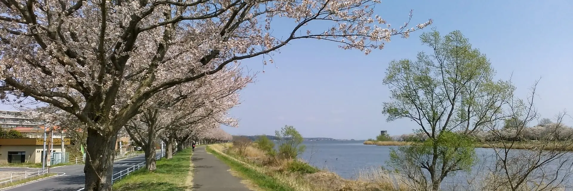 Kasumigaura Marathon