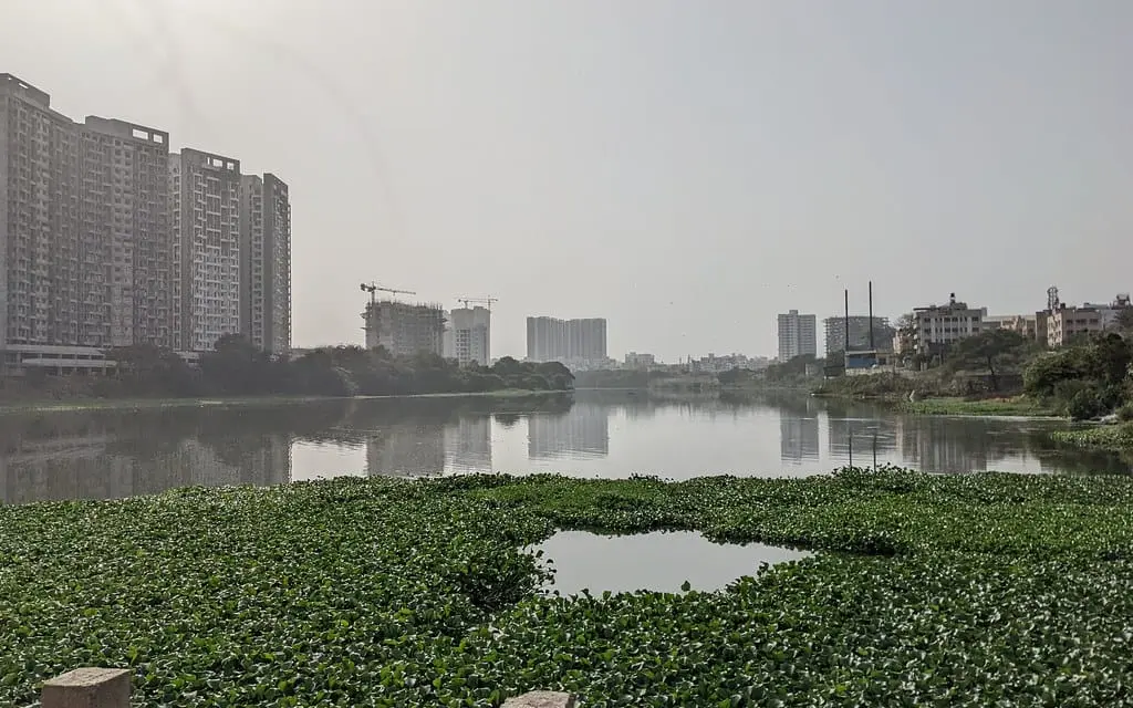 Pune International Marathon