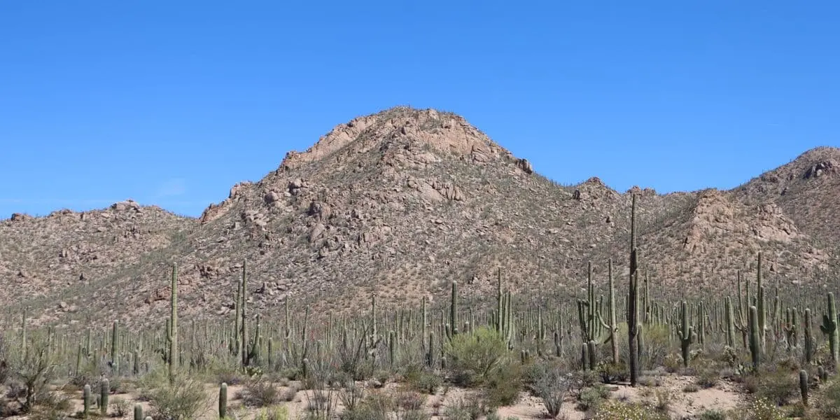 Tucson Marathon