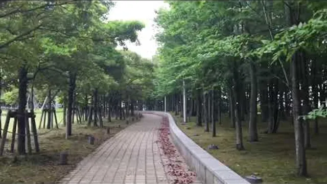 新潟市の紹介 (梅雨の新潟) Introduction of Niigata City video thumbnail